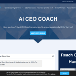 AI CEO Coach