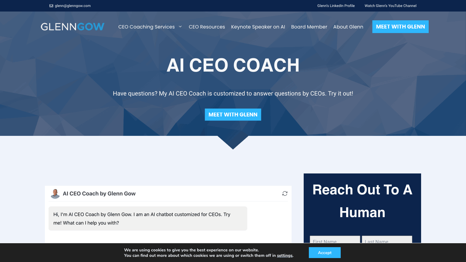 AI CEO Coach