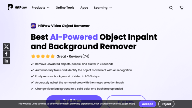 HitPaw Video Object Remover