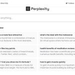 Perplexity AI