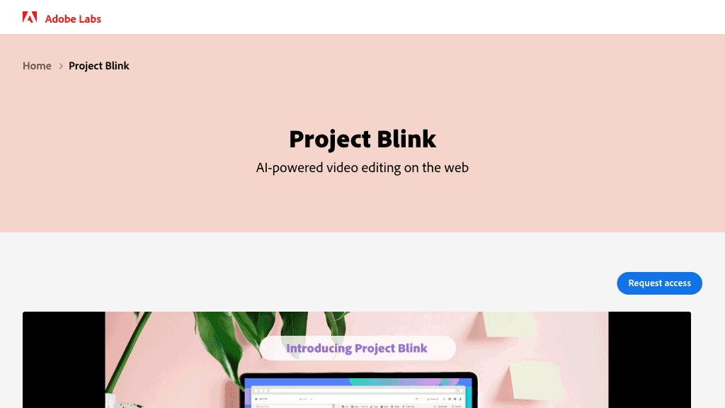 Project Blink