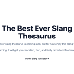 Slang Thesaurus